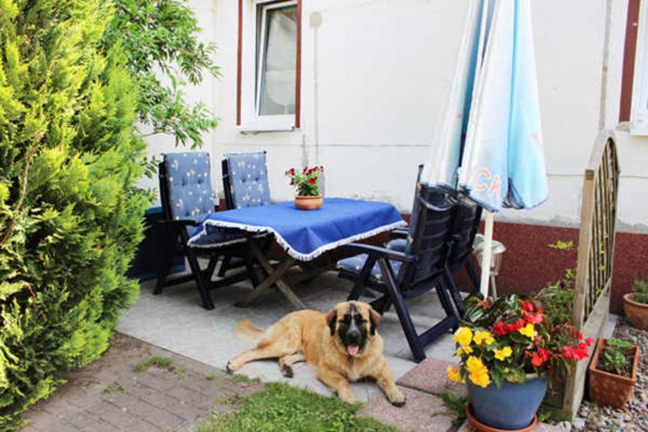 Isabell Apartment Zinnowitz Exterior foto